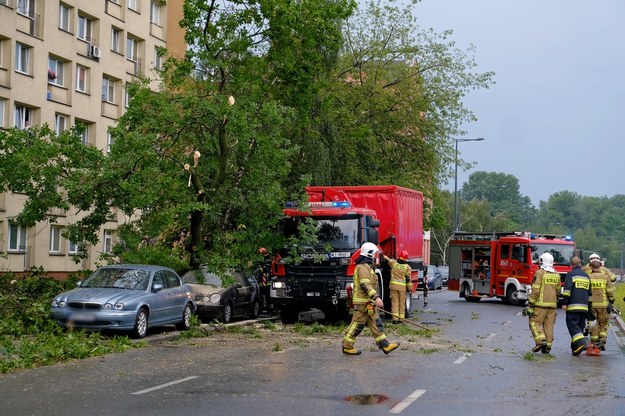 Strażacy usuwają powalone drzewo po gwałtownej burzy, która przeszła nad Warszawą /Mateusz Marek /PAP