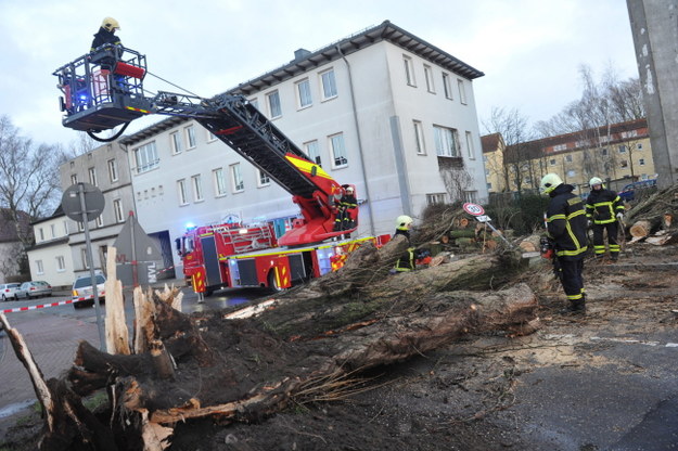 Strażacy usuwają powalone drzewo w miejscowości Stralsund /PAP/EPA/STEFAN SAUER  /PAP/EPA
