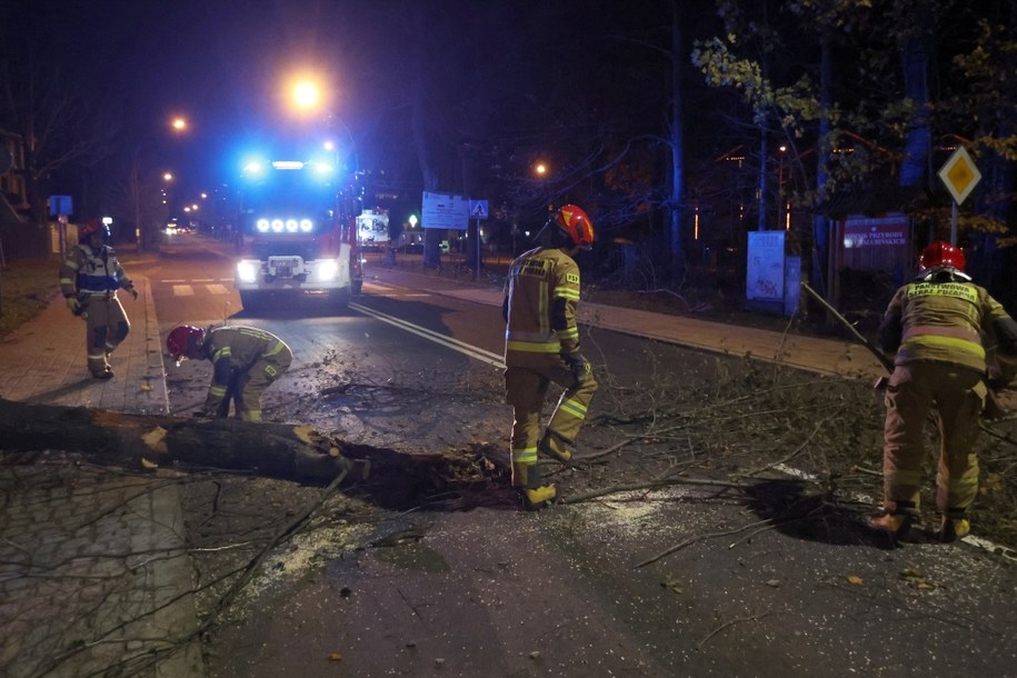 Wichury nad Polską. Karetka najechała na konar