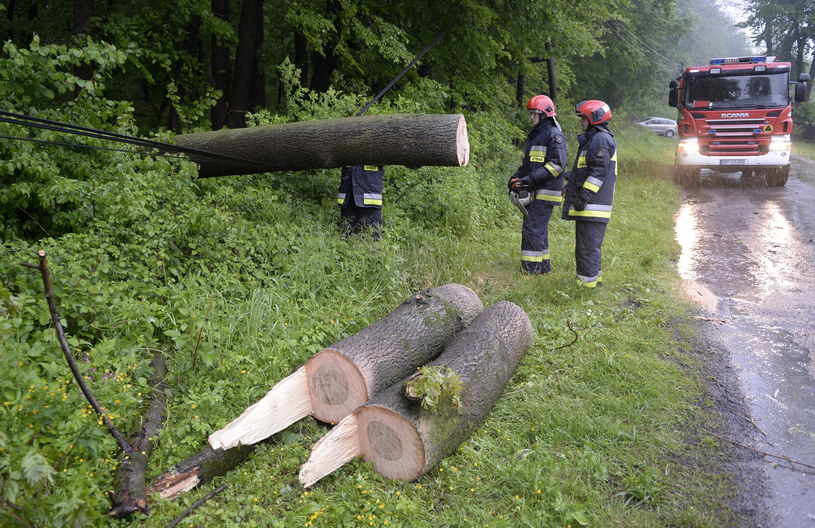 Strażacy usuwają powalone drzewo (zdjęcie ilustracyjne) /Darek Delmanowicz /PAP