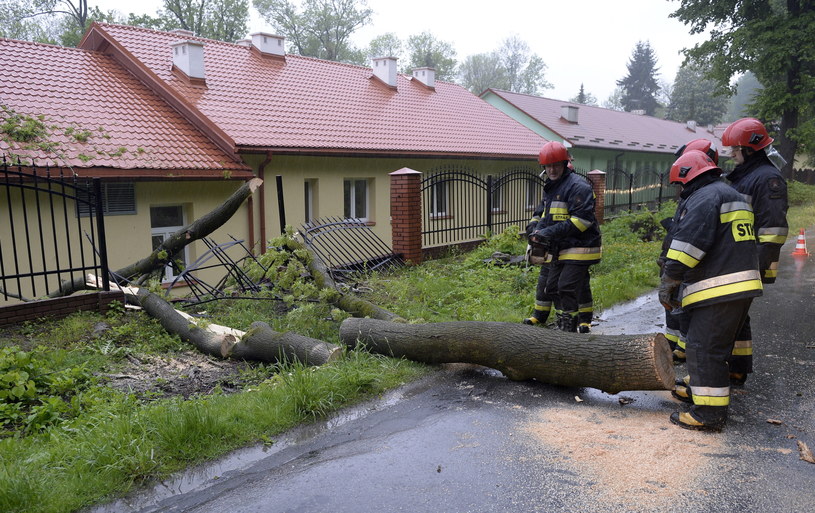 Strażacy usuwają powalone drzewo /Darek Delmanowicz /PAP