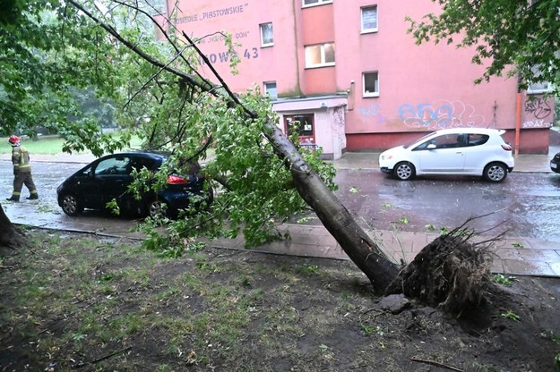 Strażacy usuwają skutki nawałnicy, która przeszła nad Szczecinem /Marcin Bielecki /PAP