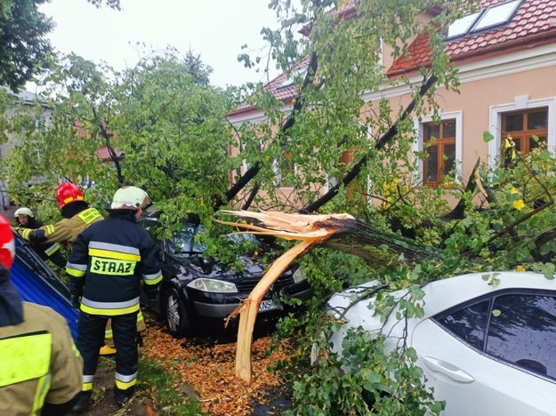 Strażacy usuwają skutki sobotnich nawałnic, które przeszły nad Małopolską (fot. KW PSP Kraków) /