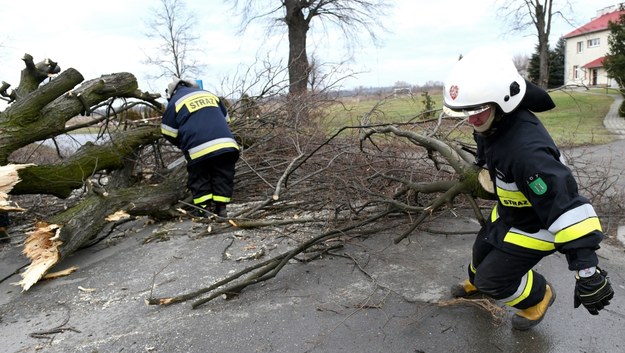 Strażacy usuwają skutki wiatru /Darek Delmanowicz /PAP