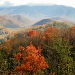 Strażacy w USA walczą z pożarem najpopularniejszego parku narodowego