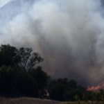 Strażacy walczą z pożarami w USA. Żywioł zagraża słynnemu kurortowi