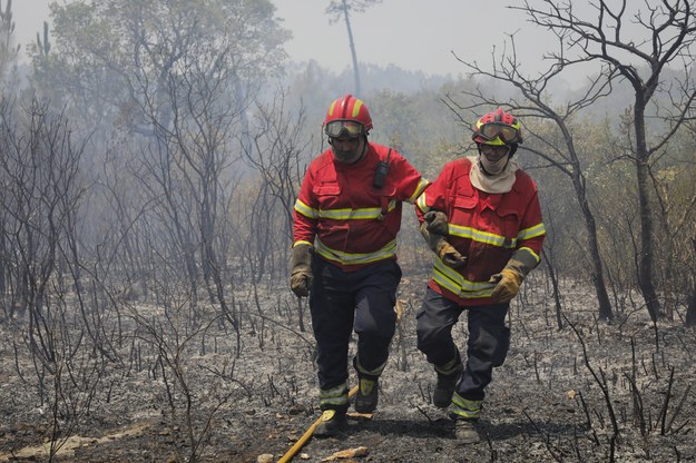 Strażacy walczący z pożarami lasów w Portugalii /PAULO CUNHA /PAP/EPA