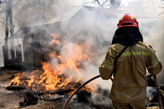 Strażacy walczący z pożarami w Grecji /VASSILIS PSOMAS   /PAP/EPA