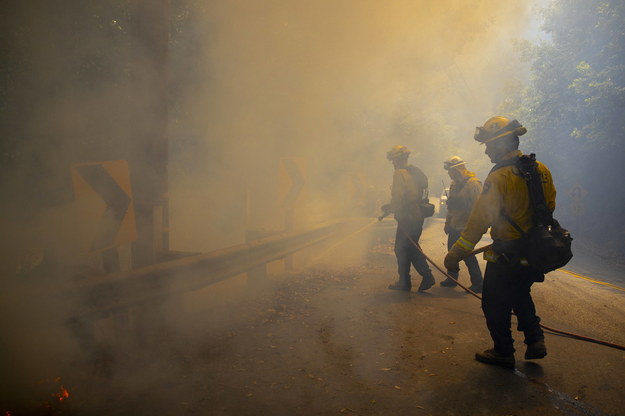 Strażacy walczący z pożarami w USA /PETER DaSILVA /PAP/EPA