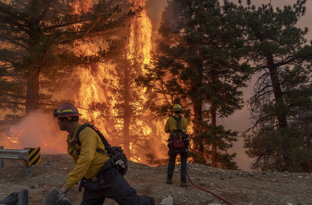 Strażacy walczący z rozprzestrzeniającym się ogniem w Kalifornii /KYLE GRILLOT /PAP/EPA
