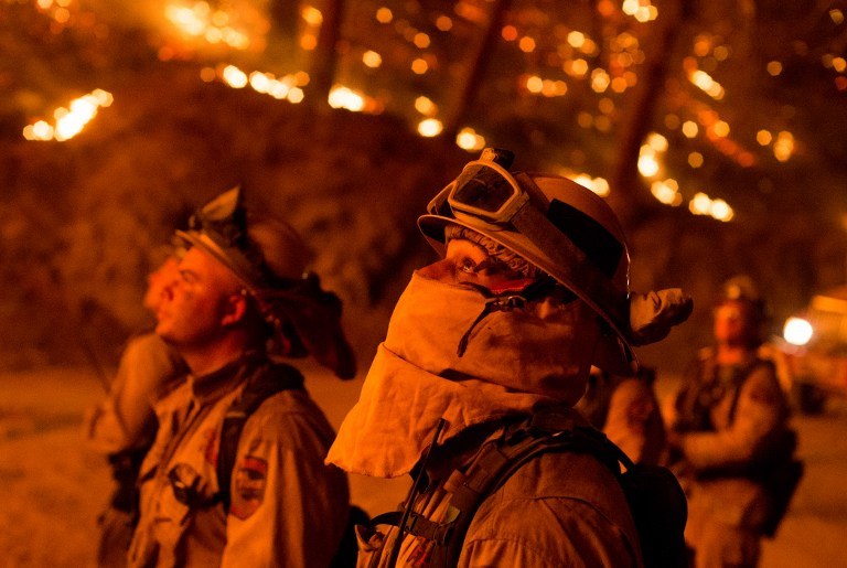 Strażacy walczący z żywiołem /Josh Edelson / AFP /AFP