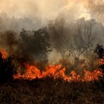 Strażak o pożarach w Grecji: Musimy być gotowi na to, że będą się powtarzały co roku