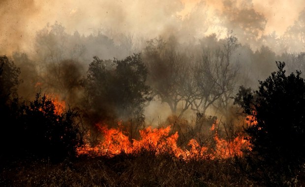 Strażak o pożarach w Grecji: Musimy być gotowi na to, że będą się powtarzały co roku