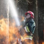 Strażak ochotnik podpalał las. "Z głupoty"