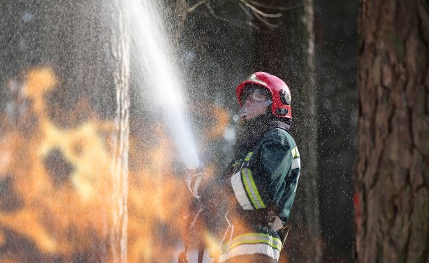 Strażak ochotnik podpalał las. "Z głupoty"