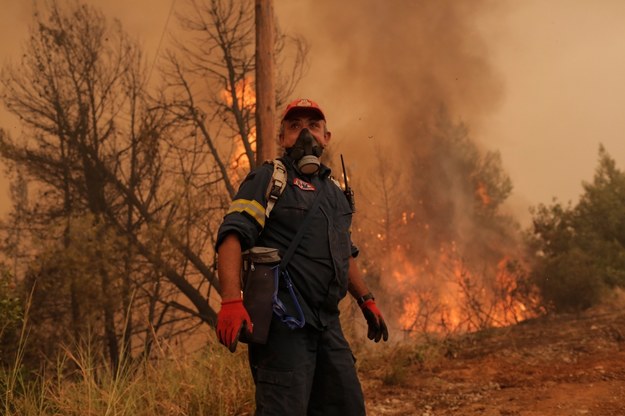 Strażak podczas walki z płomieniami podczas pożaru w wiosce Istiaia na wyspie Evia /EPA/KOSTAS TSIRONIS /PAP/EPA