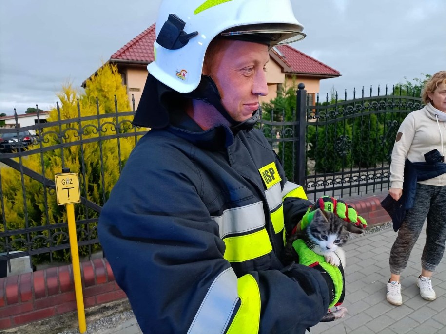 Strażak w aparacie oddechowym zszedł do studzienki po kotka. /OSP Gościno /