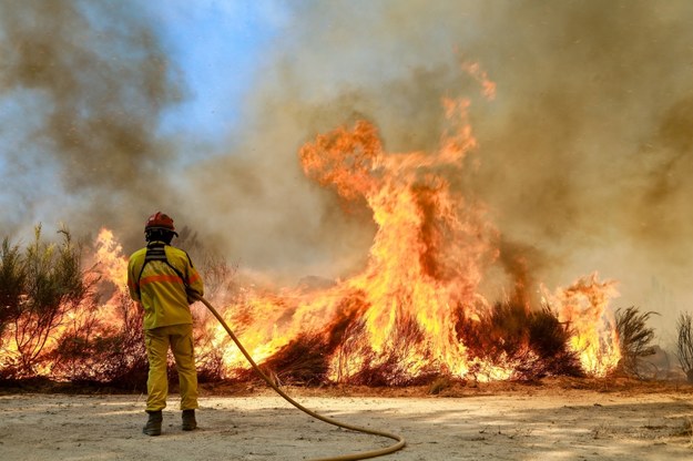 Strażak walczący z pożarem lasu na północy Portugalii. /MIGUEL PEREIRA DA SILVA /PAP/EPA