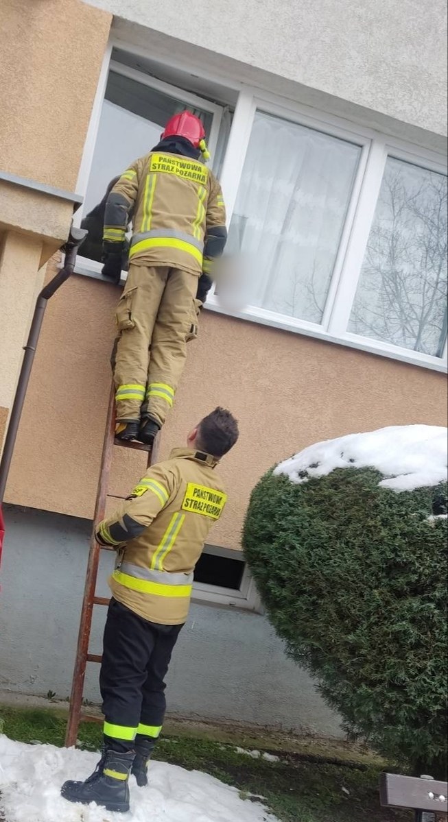 Strażakom udało się dostać do mieszkania przez okno /Policja