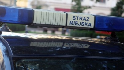 Strażnicy miejscy przyłapani na przyjmowaniu łapówek