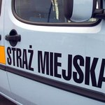 Strażnik miejski jak policjant