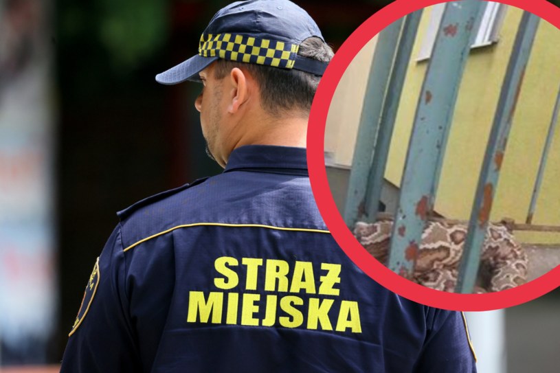 Strażników zaalarmowała mieszkanka jednego z lokali na parterze /Pawel Wodzynski/East News /East News