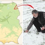 Strefy mrozoodporności w Polsce. Uprawa roślin najtrudniejsza na Suwalszczyźnie