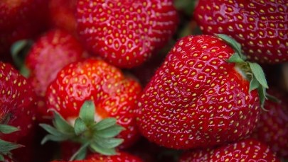 Stres można zdrowo „zajadać” 