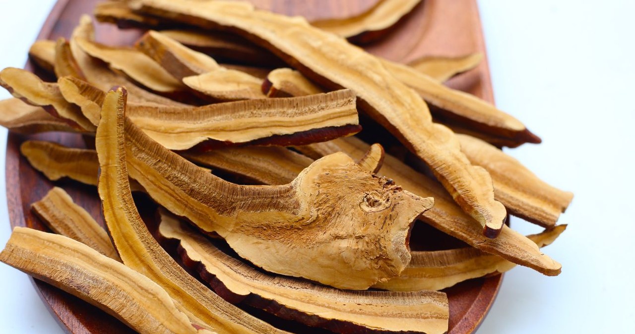 Stres, stany zapalne i spadki energii - brzmi znajomo? Możesz z tym walczyć, stosując adaptogeny. /Canva Pro