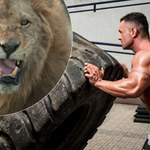 Strongman kontra lew - najbardziej szalone wyzwanie internetu?