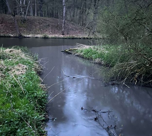 Struga Kicz /WIOŚ Bydgoszcz /Facebook