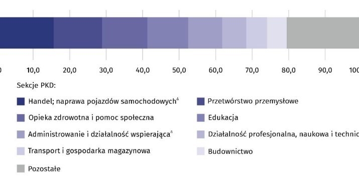 Struktura emerytów i rencistów pracujących w gospodarce narodowej według  sekcji PKD w 2023 r. Stan na 31 marca /GUS /