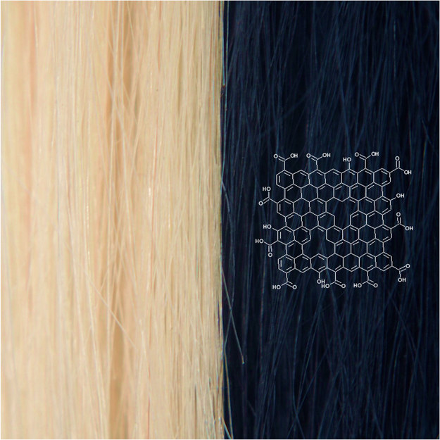 Struktura grafenowego barwnika do włosów (po prawej) /Chong Luo /Materiały prasowe