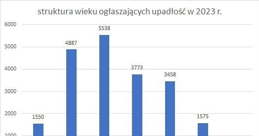 Struktura wieku ogłaszających upadłość w 2023 roku /coig.com.pl /