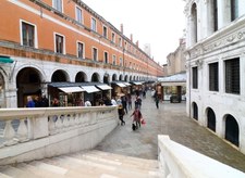 Strusie spacerowały ulicami Wenecji