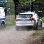 Strzały i dwa ciała na posesji. Tragedia w Elblągu