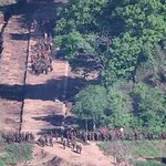 Strzały na granicy Korei. Żołnierze Pjongjangu znów przekroczyli linię