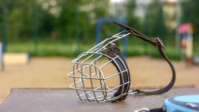 ​Strzelał do psa i jego właściciela. Zarzuty dla 25-latka