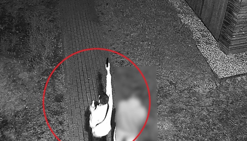 Strzelał na miejskiej plaży. Policja szuka tego mężczyzny