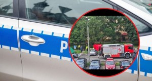 Strzelanina w Białej Podlaskiej. Trwa obława, policja ustaliła tożsamość ofiary