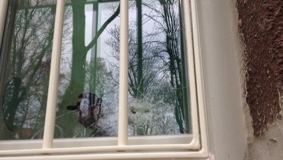 Strzelanina w szpitalu psychiatrycznym, sprawca strzelał z rewolweru