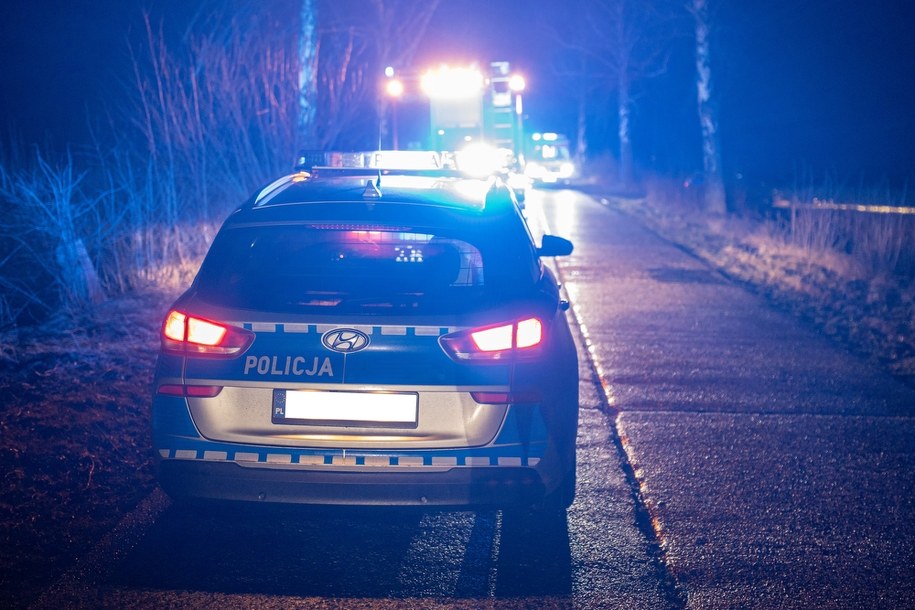 Strzelanina w Wielkopolsce na leśnej drodze. Obława policji /Shutterstock