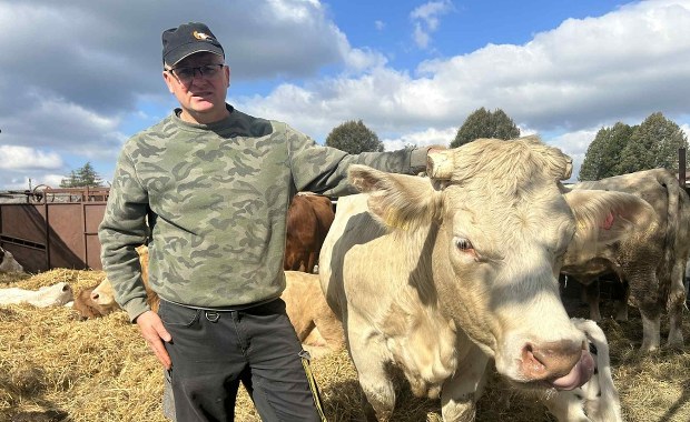 Strzelnica w sąsiedztwie pastwisk. "Panika, stres, uciekanie. Krów nie da się zatrzymać"