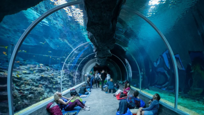 Stu zwiedzających będzie mogło spędzić noc w łódzkim Orientarium