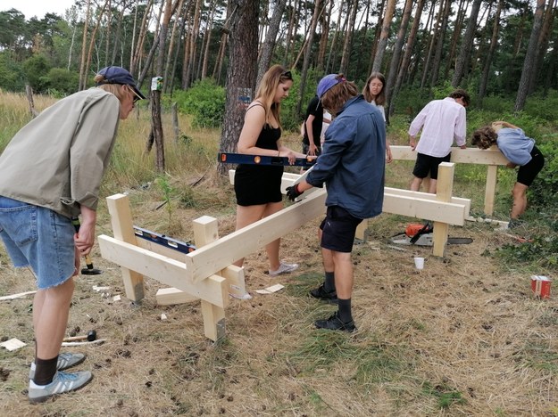 Studenci podczas warsztatów Mood for Wood /Archiwum RDLP w Poznaniu  /Materiały prasowe