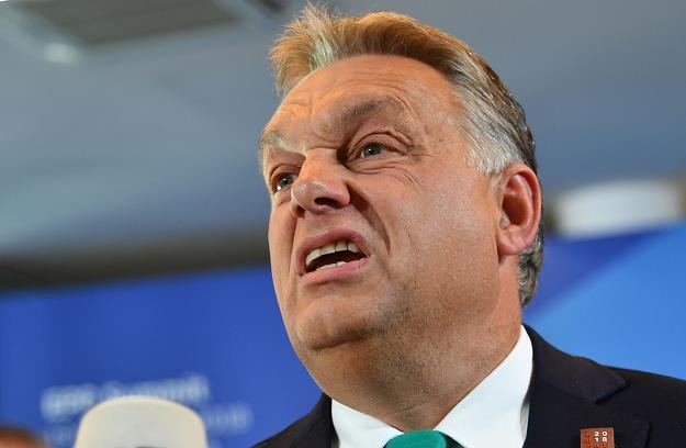 Studia gender zostaną zlikwidowane na węgierskich uczelniach. Nz. Viktor Orban, premier Węgier /AFP