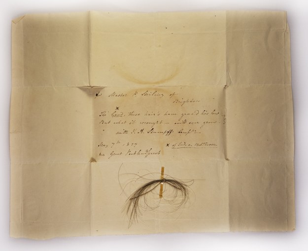 "Stumpff Lock" - pukiel włosów Ludwiga van Beethovena, który posłużył do rozkodowania genomu kompozytora /Kevin Brown /Materiały prasowe
