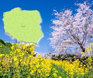 Stuprocentowa wiosna w Polsce. Później nastąpi gwałtowny zwrot