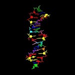 Stworzono 8-literowe, syntetyczne DNA