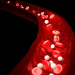 Stworzono żel regenerujący naczynia krwionośne